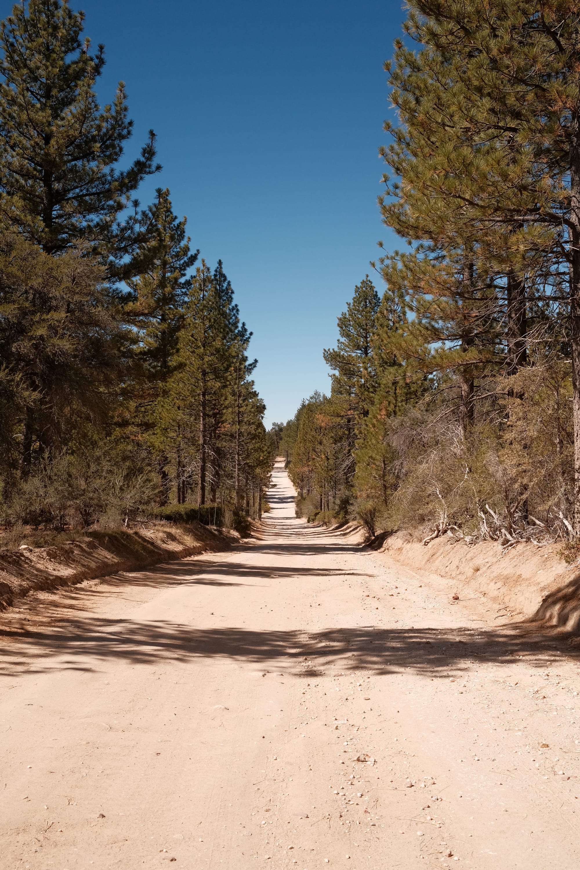Long straight dirt road